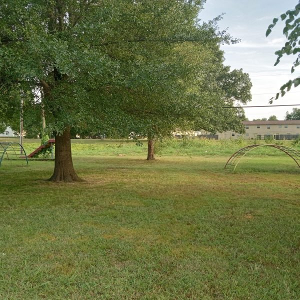 IMG_20250827_173227393_HDR (1)